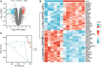 Identification of miR-1 and miR-499 in chronic atrial fibrillation by bioinformatics analysis and experimental validation